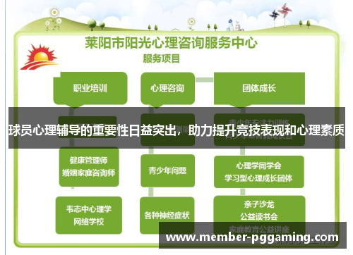 球员心理辅导的重要性日益突出，助力提升竞技表现和心理素质