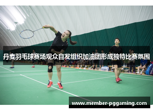 丹麦羽毛球赛场观众自发组织加油团形成独特比赛氛围