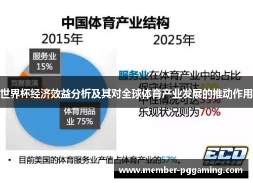 世界杯经济效益分析及其对全球体育产业发展的推动作用