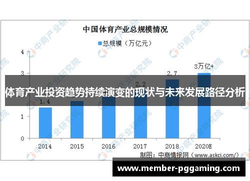 体育产业投资趋势持续演变的现状与未来发展路径分析