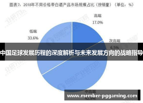 中国足球发展历程的深度解析与未来发展方向的战略指导