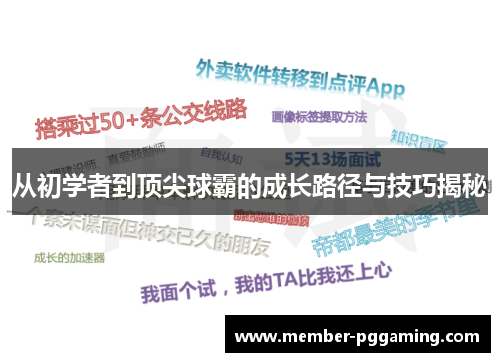 从初学者到顶尖球霸的成长路径与技巧揭秘