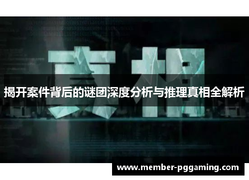 揭开案件背后的谜团深度分析与推理真相全解析