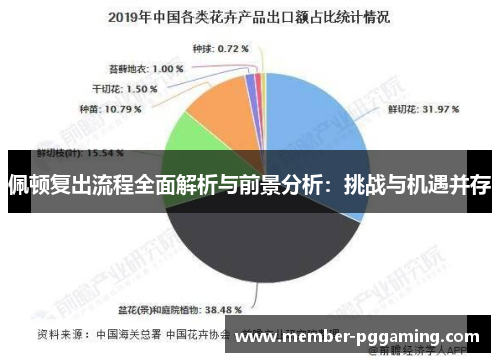 佩顿复出流程全面解析与前景分析：挑战与机遇并存
