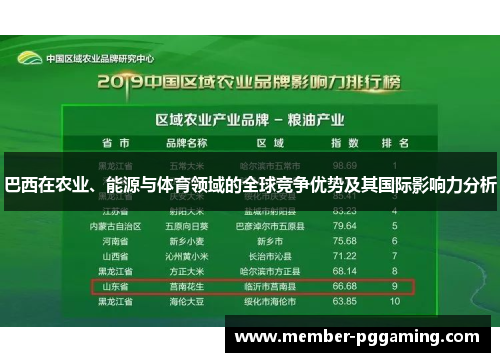 巴西在农业、能源与体育领域的全球竞争优势及其国际影响力分析
