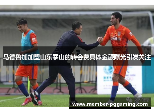 马德鲁加加盟山东泰山的转会费具体金额曝光引发关注