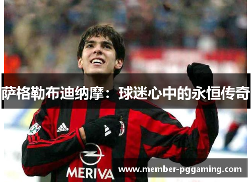 萨格勒布迪纳摩：球迷心中的永恒传奇