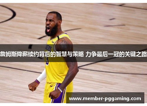詹姆斯降薪续约背后的智慧与策略 力争最后一冠的关键之路 詹姆斯降薪续约背后的智慧与策略 力争最后一冠的关键之路