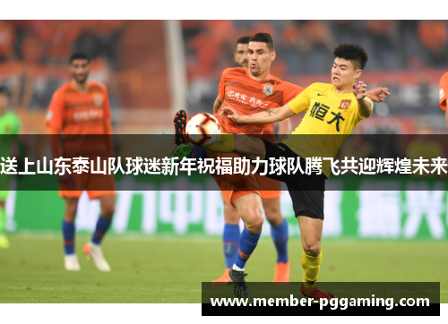送上山东泰山队球迷新年祝福助力球队腾飞共迎辉煌未来