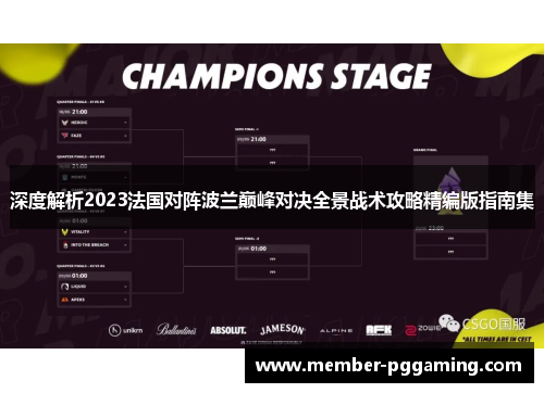 深度解析2023法国对阵波兰巅峰对决全景战术攻略精编版指南集