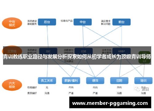 青训教练职业路径与发展分析探索如何从初学者成长为顶级青训导师