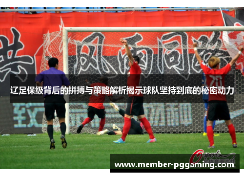 辽足保级背后的拼搏与策略解析揭示球队坚持到底的秘密动力